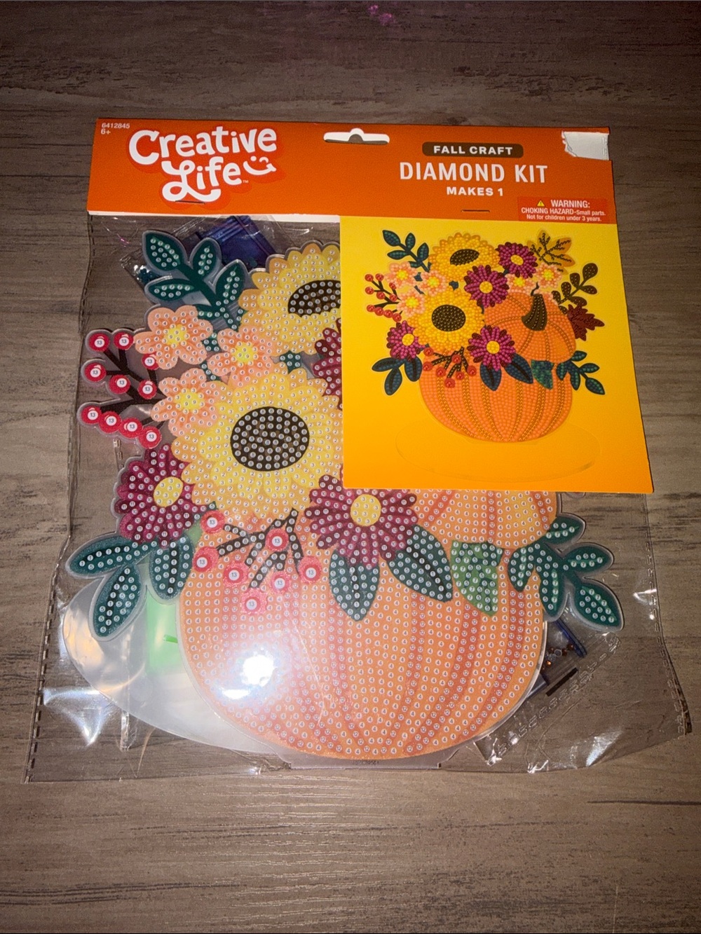 🆕💜 Hobby Lobby Floral Pumpkin Diamond Painting Kit